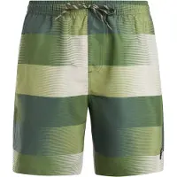 Protest Beachshort Men PRTLomond Thyme-M