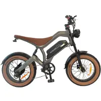 DYU Fatbike elektrische Fiets 20 Inch – 48V 18.2Ah Accu – 750W Motor – Actieradius tot 60 km – Schijfremmen – LCD Display – Unisex