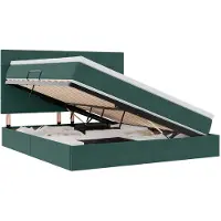 vidaXL LED opbergbed met matras Donkergroen 160 x 200 cm Fluweel