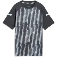 Puma Trainingsshirt individualLIGA Graphic - Grijs/Ijsblauw Kids