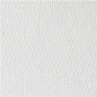 Dutch Wallcoverings - Glasweefsel - voorgelatext fijn 25 m