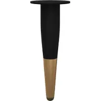 vidaXL Meubelvoeten 2 st Zwart en Goud Ø 40 x 98 mm IJzer