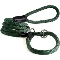 Hunter Freestyle - Retrieverlijn Hond - Oranje - Neopreen - 10-170 cm