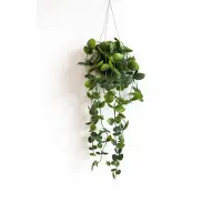 HEM Hangplant Kunstplant – Groene Hangende Plant – Decoratieve Nepplant met Pot – Onderhoudsvrije Kamerplant voor Woonkamer, Badkamer of Kantoor