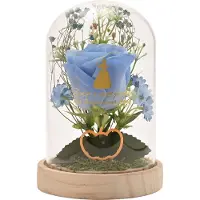 Widdop & Co. Princess ‘Cinderella’ Stolp met Led