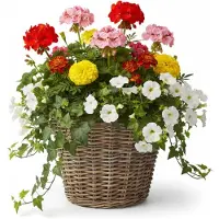 Van der leeden VD Leeden Plantenmand Klassiek - rond - bruin - 25 x 19 cm - rotan - gevlochten riet - bloempot