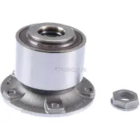 TRISCAN 8530 28243 Wiellagerset