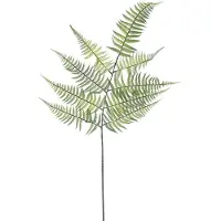 Erutan avon Fern branche lt green 145 cm kunstbloem