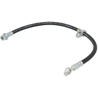 Delphi Remslang LH6085