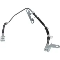 Delphi Remslang LH6925