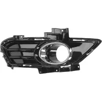 BLIC 6502-07-2558996P Ventilatiegrille, bumper