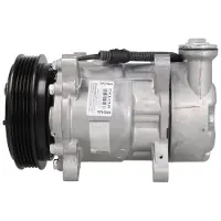 Delphi TSP0159424 Aircopomp