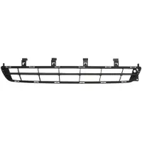 BLIC 6502-07-5079992P Ventilatiegrille, bumper