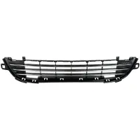 BLIC Bumper - ventilatierooster 6502-07-5508911Q