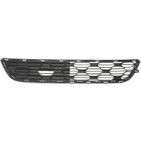 BLIC Bumper - ventilatierooster 6502-07-0502924P