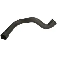 THERMOTEC Radiateurslang DWC006TT