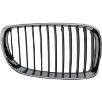 BLIC Radiatorrooster 6502-07-0085992PQ rechts
