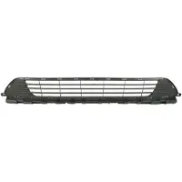 BLIC 6502-07-5060910P Ventilatiegrille, bumper
