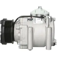Delphi TSP0159336 Aircopomp
