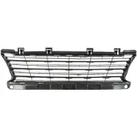 BLIC 6502-07-5519913P Ventilatiegrille, bumper