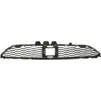 BLIC 6502-07-1307910P Ventilatiegrille, bumper