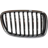 PRASCO BM5002003 Radiator grill