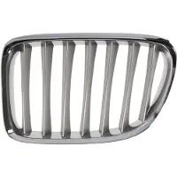 BLIC Radiatorrooster 6502-07-0092993P links