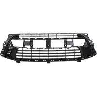 BLIC Ventilatierooster, bumper 6502-07-0537914Q
