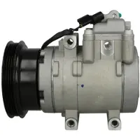 Delphi TSP0159445 Aircopomp