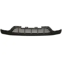 BLIC 6502-07-6054910P Ventilatiegrille, bumper