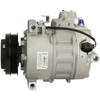 Delphi TSP0159463 Aircopomp