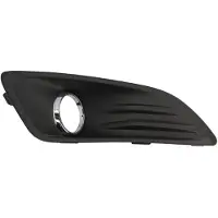 BLIC 6509-01-2565916P Ventilatiegrille, bumper