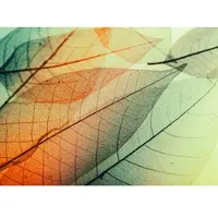 Living Walls Fotobehang LimpidLeaf2 DD118588 Designwalls | Fotobehang