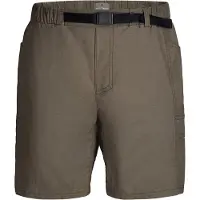 Royal Robbins - Crux Short - Short L, grijs/bruin
