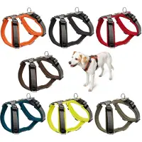Hunter Servies Maldon (Hond, Algemeen)