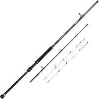 Penn Squadron Iv Boat Sensitip Spinning Rod Zilver 2.40 m / 300 g