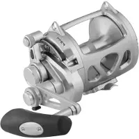 Penn International Vi Sw Trolling Reel Zilver 50