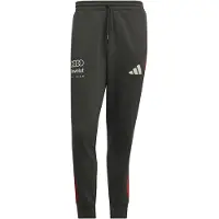 Adidas Sportbroek 'Audi Formula One Team DNA' donkergrijs / rood / wit
