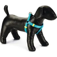 Beeztees Hondentuig Uni Lichtblauw 46-75 X 2 Cm