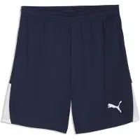 Puma Sportbroek 'TeamLIGA26' navy / wit