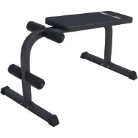 Gorilla Sports Halter- En Buikspierbank zwart