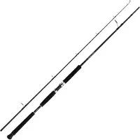 Shimano Fishing Beastmaster Ax Pilk Jigging Rod Zilver 2.40 m / 100-200 g