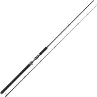Westin W3 Powercast Baitcasting Rod Zilver 2.51 m / 40-130 g