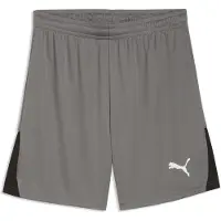 Puma Sportbroek 'TeamLIGA26' grijs / zwart / wit