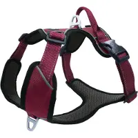 Petlando Hondenharnas Outdoor Berry - Hondentuig - 56-68 cm