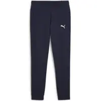 Puma Sportbroek 'TeamGOAL' marine / wit