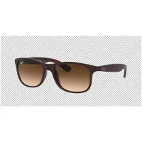 Ray-Ban Andy RB4202 Matte Brown / Brown