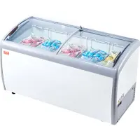 Vevor Commerciële ijsvitrine