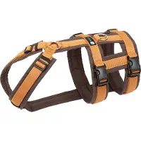 AnnyX hondentuig Safety FUN veiligheidstuig anti-ontsnapping maat XS Bruin-Barnsteen-geschikt voor borstomtrek 43 tot 52cm -taille omtrek 38 tot 46 cm