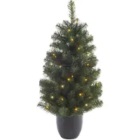 Everlands Imperial boom 90 cm groen/warm wit